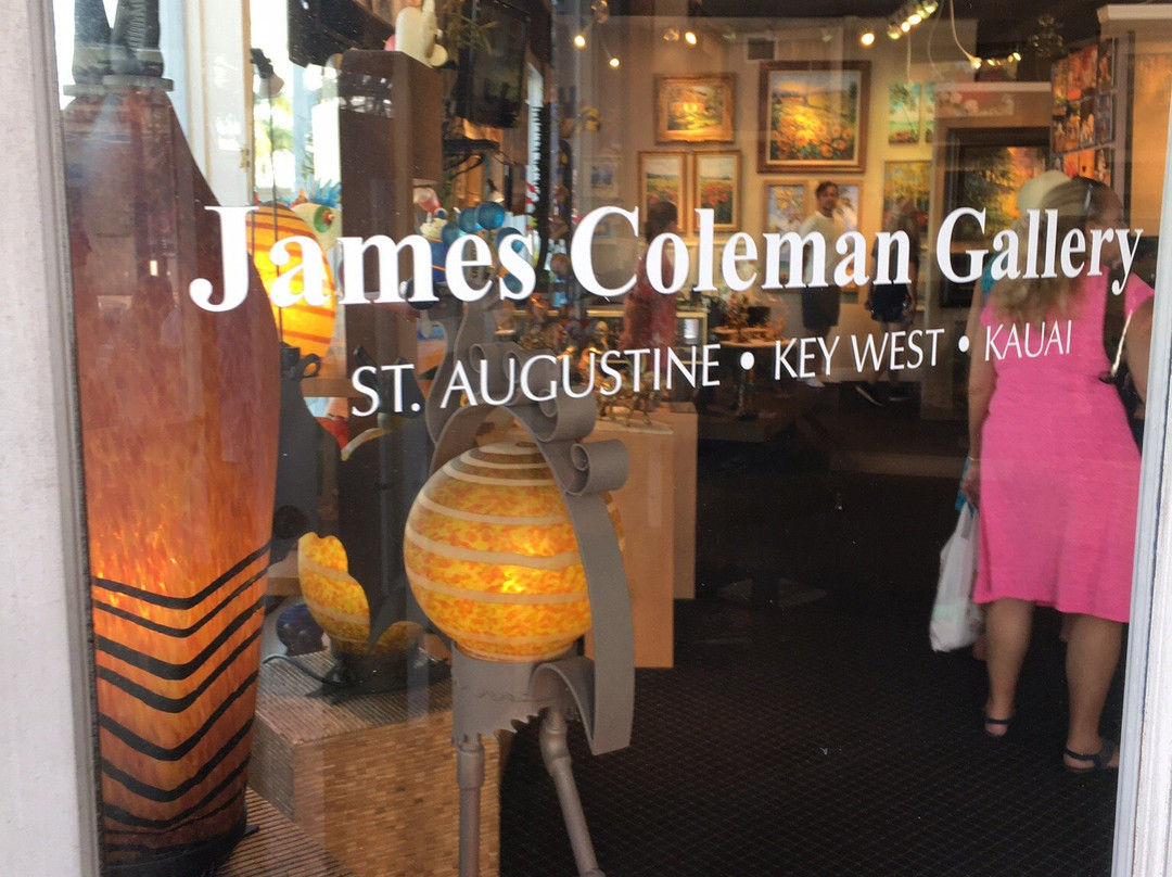 James Coleman Gallery景点图片