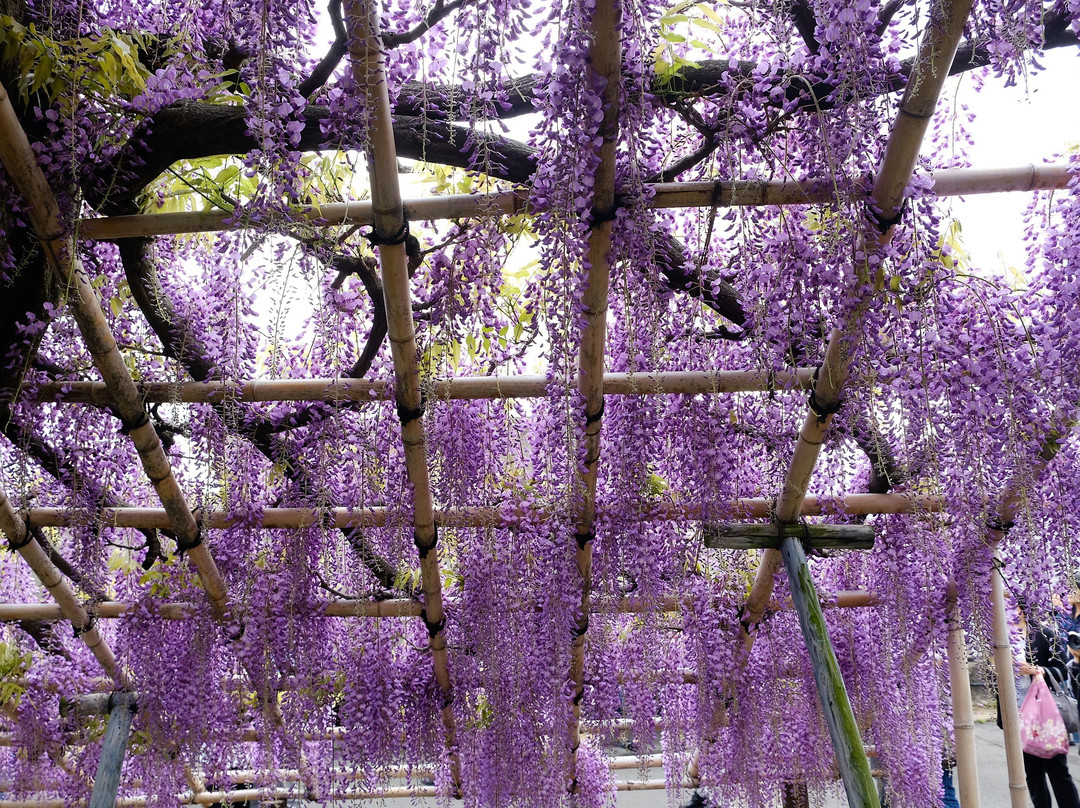Toba Water Environmental Conservation Center-京都市必去景点
