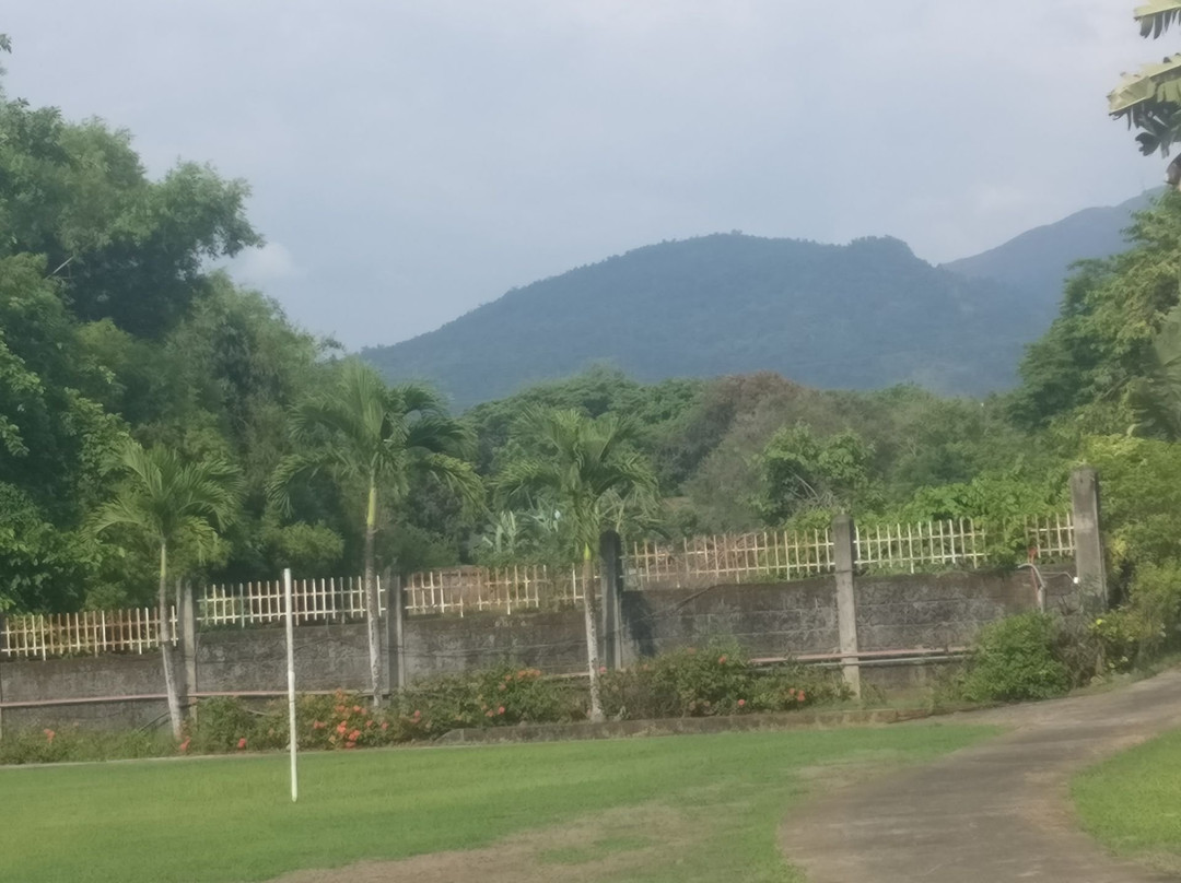 Camp J Paul
