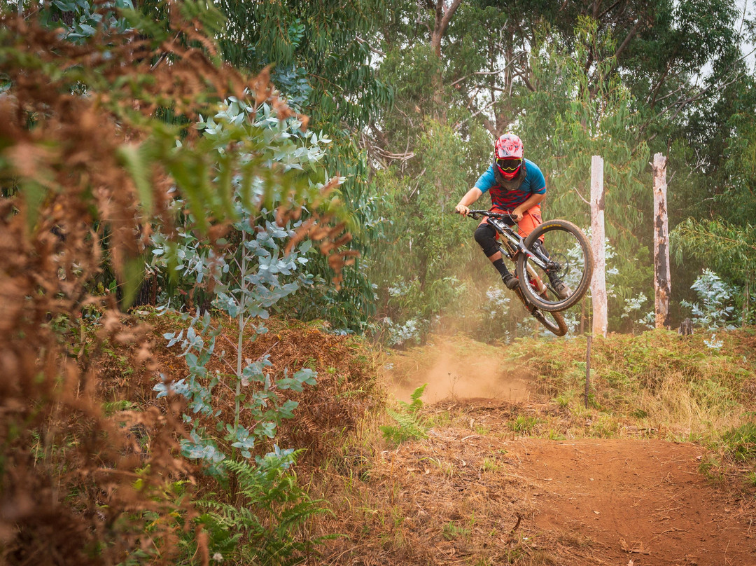 Rideandflow Mountain Biking Madeira Island-沙尔必去景点