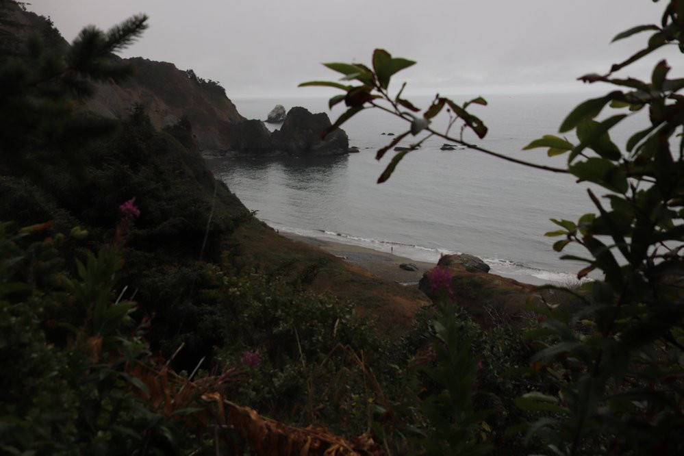 Enderts Beach-红木国家公园必去景点