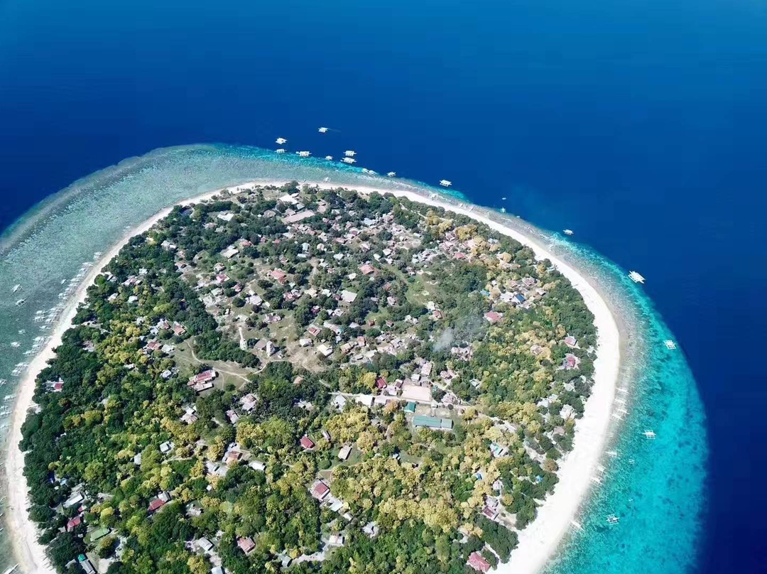 Diving King Dive Resort-Panglao必去景点