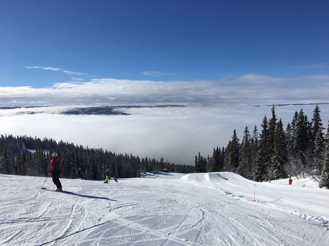 Valdres Alpinsenter景点图片