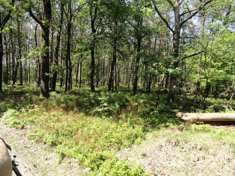 Huifkarcentrum de Kronkel-Hoog-Soeren必去景点