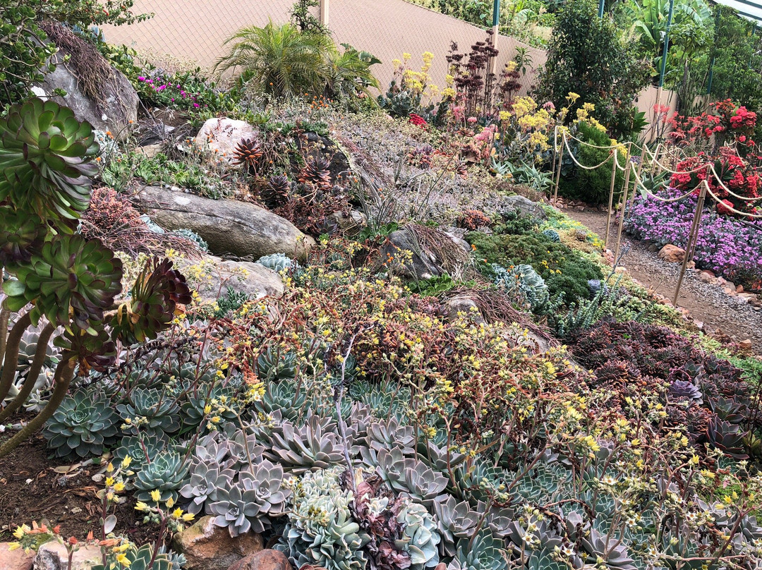 Finca Dracula景点图片