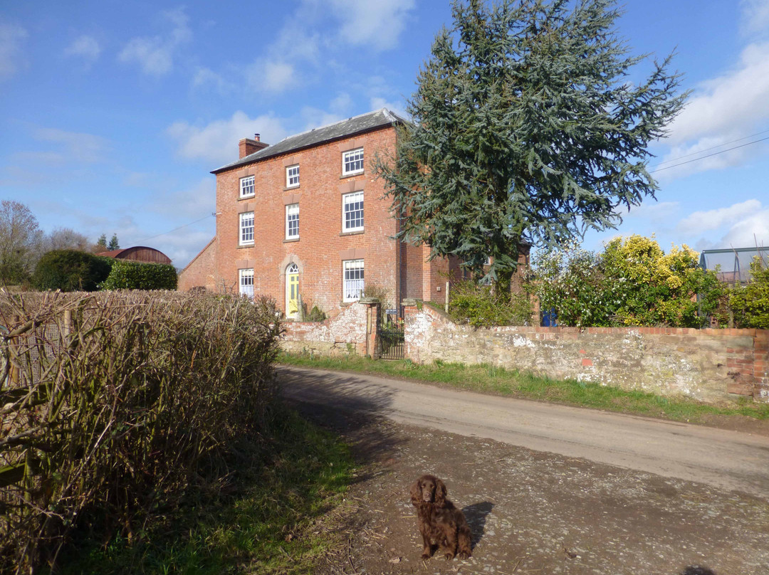 Yew Tree Farm