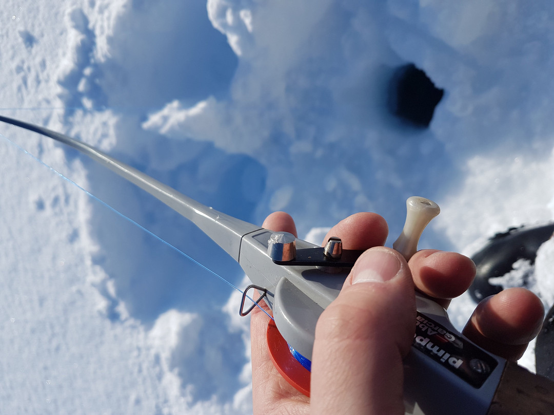Hyr & Aventyr I Lappland AB-Gallivare必去景点