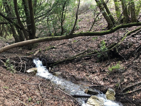 圣安东尼奥县农场公园-库柏蒂诺必去景点