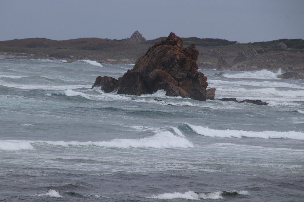 Nelson Bay-尼尔森湾必去景点