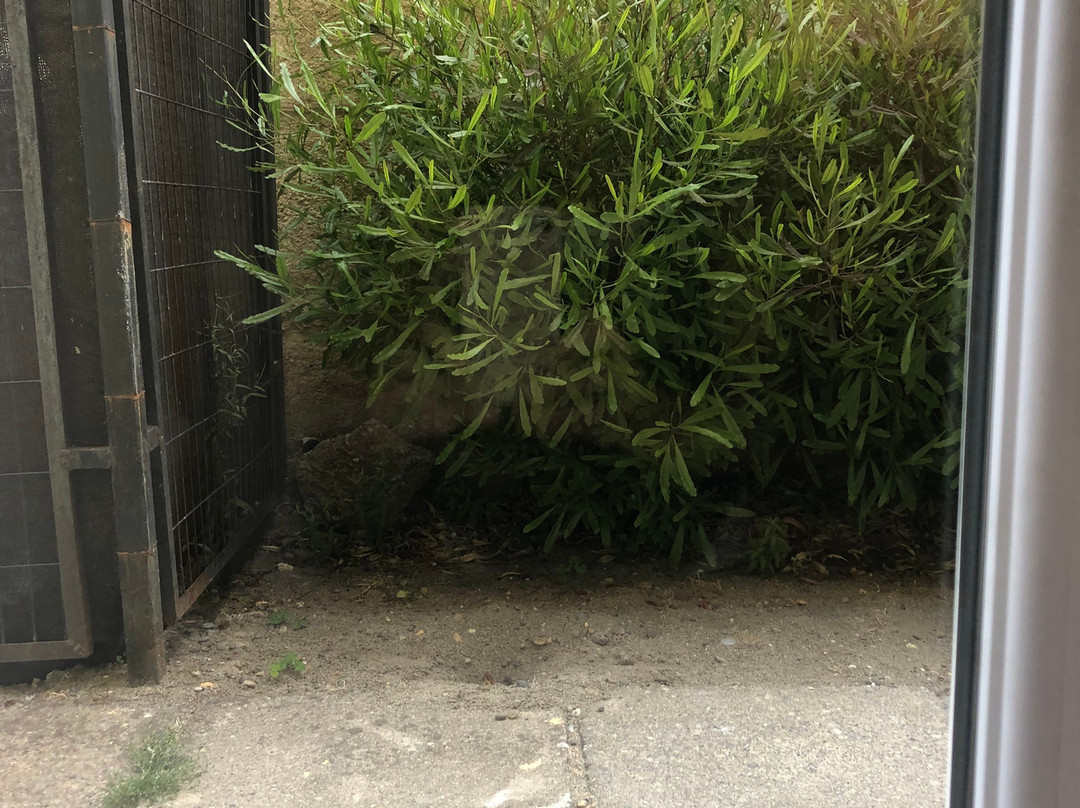 Hotel Boutique  Borderio主图