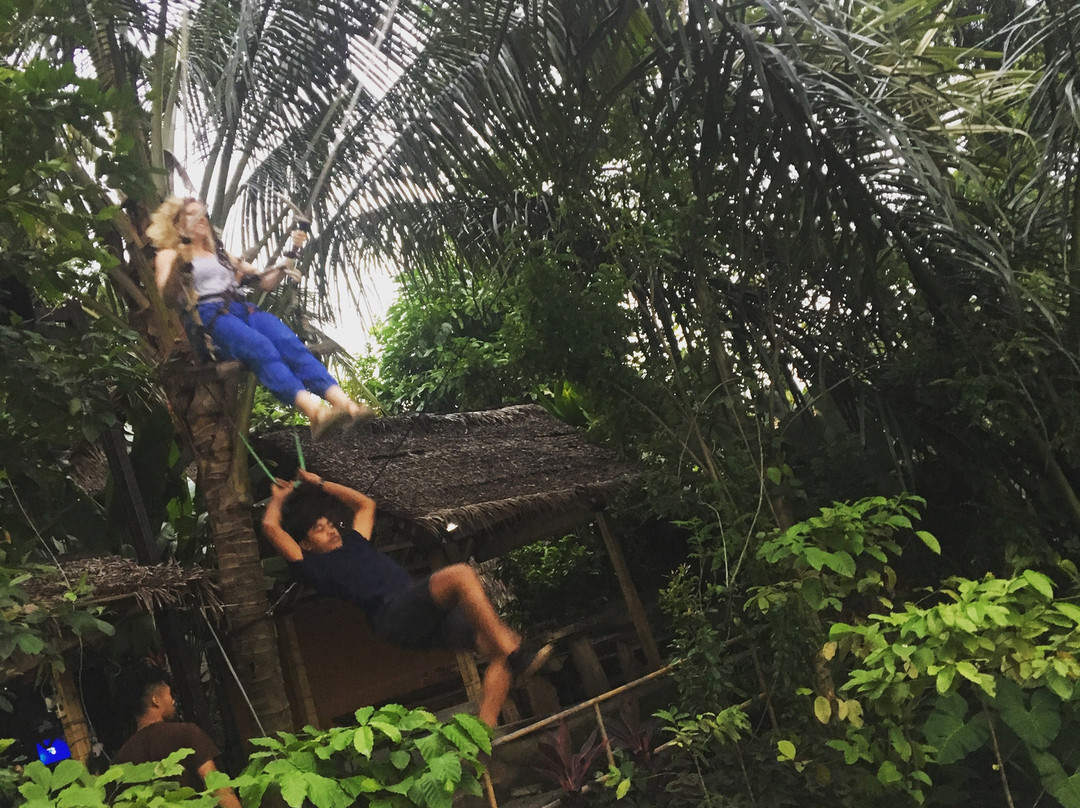 My Bali Journey景点图片