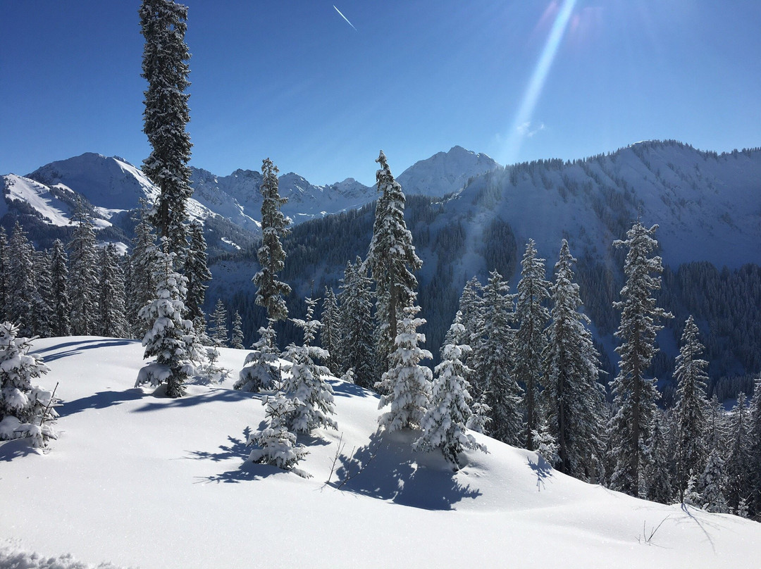 Ski Resort Ifen景点图片