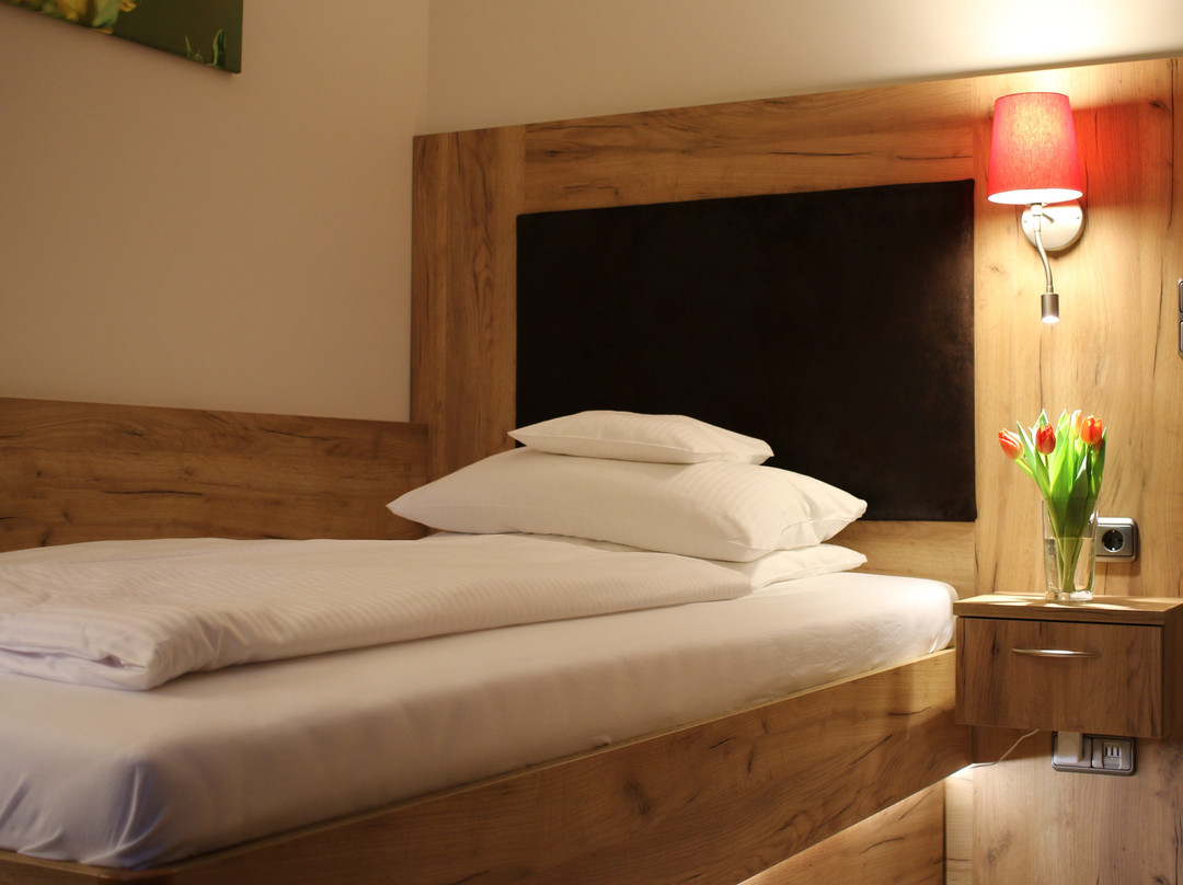 Sonnenhügel Hotel & Restaurant主图