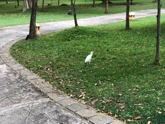 阿马亚坎达拉马丹布勒招牌度假酒店主图