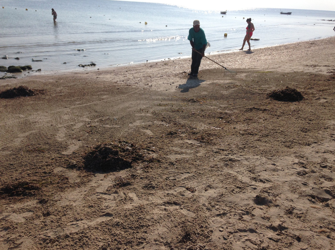 Le Diana Beach主图