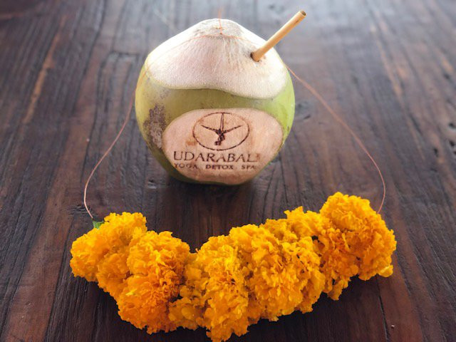 Udara Bali Yoga Detox & Spa主图