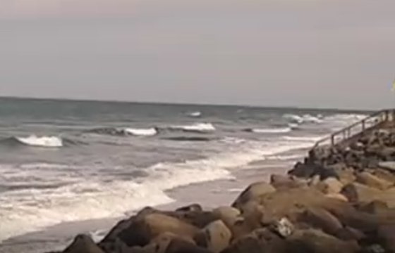 巴奥巴布假日度假村-泳池