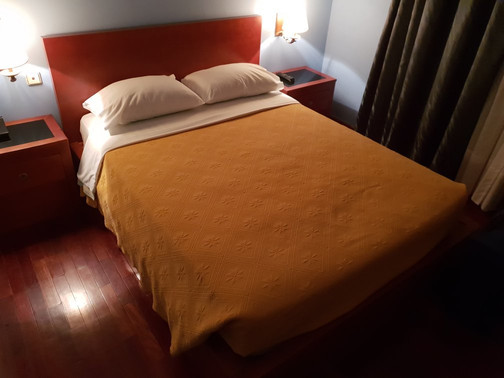 美洲狮旅馆主图