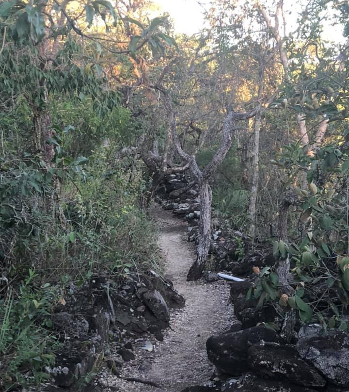 Fazenda Monjolos Pousada主图