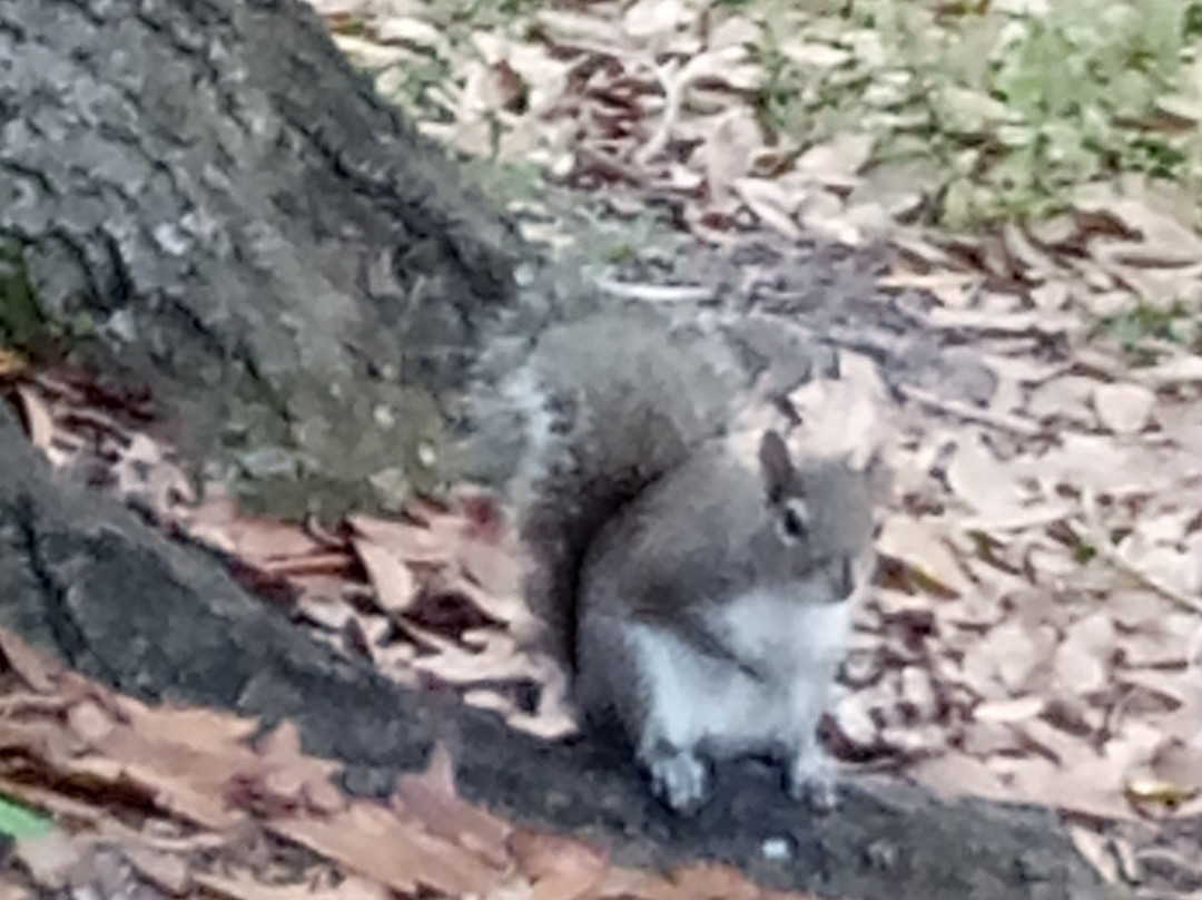 Easterlin Park-Oakland Park必去景点