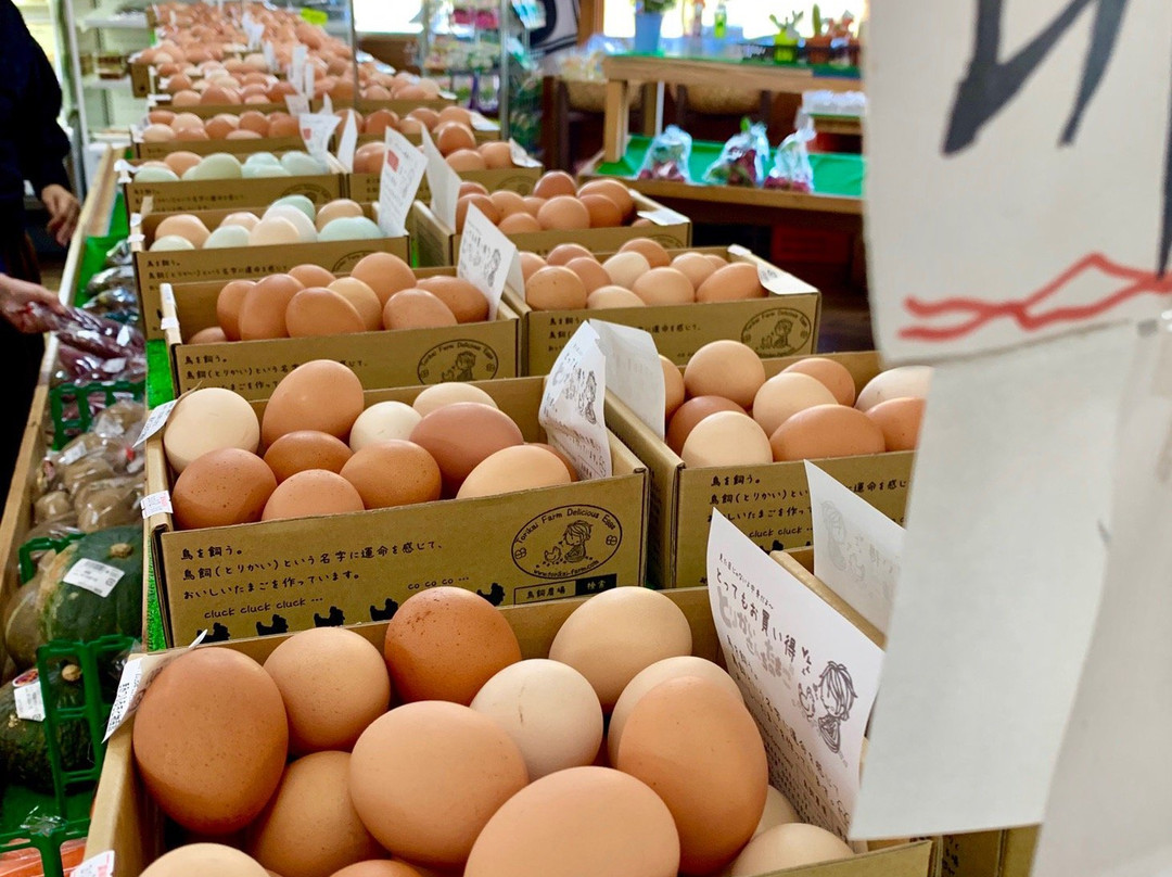 Michi-no-Eki Fureai Park Kimitsu-君津市必去景点