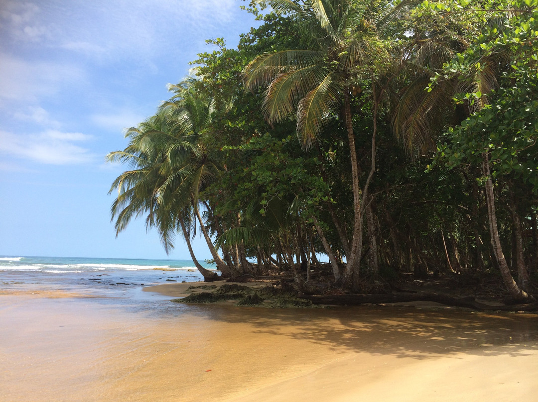 Caribe Autentico景点图片