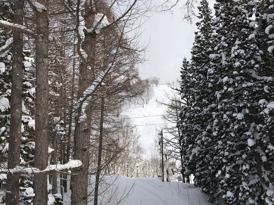 Hakuba Norikura Onsen Ski Resort景点图片