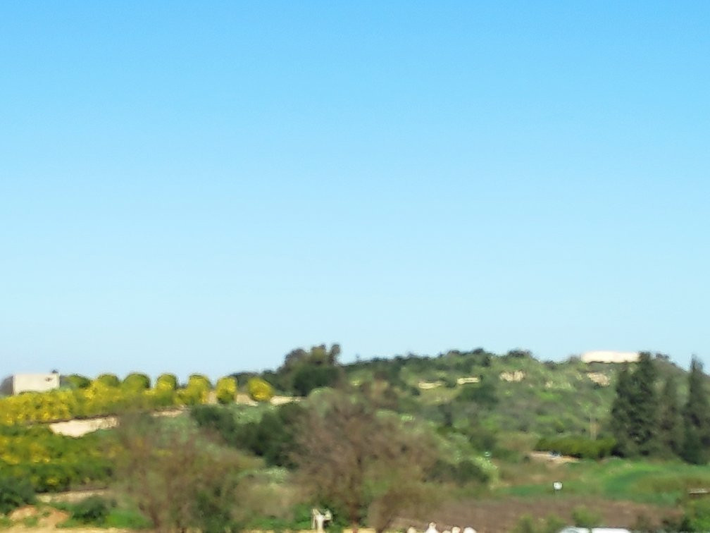 Farm on the Hill-Gedera必去景点