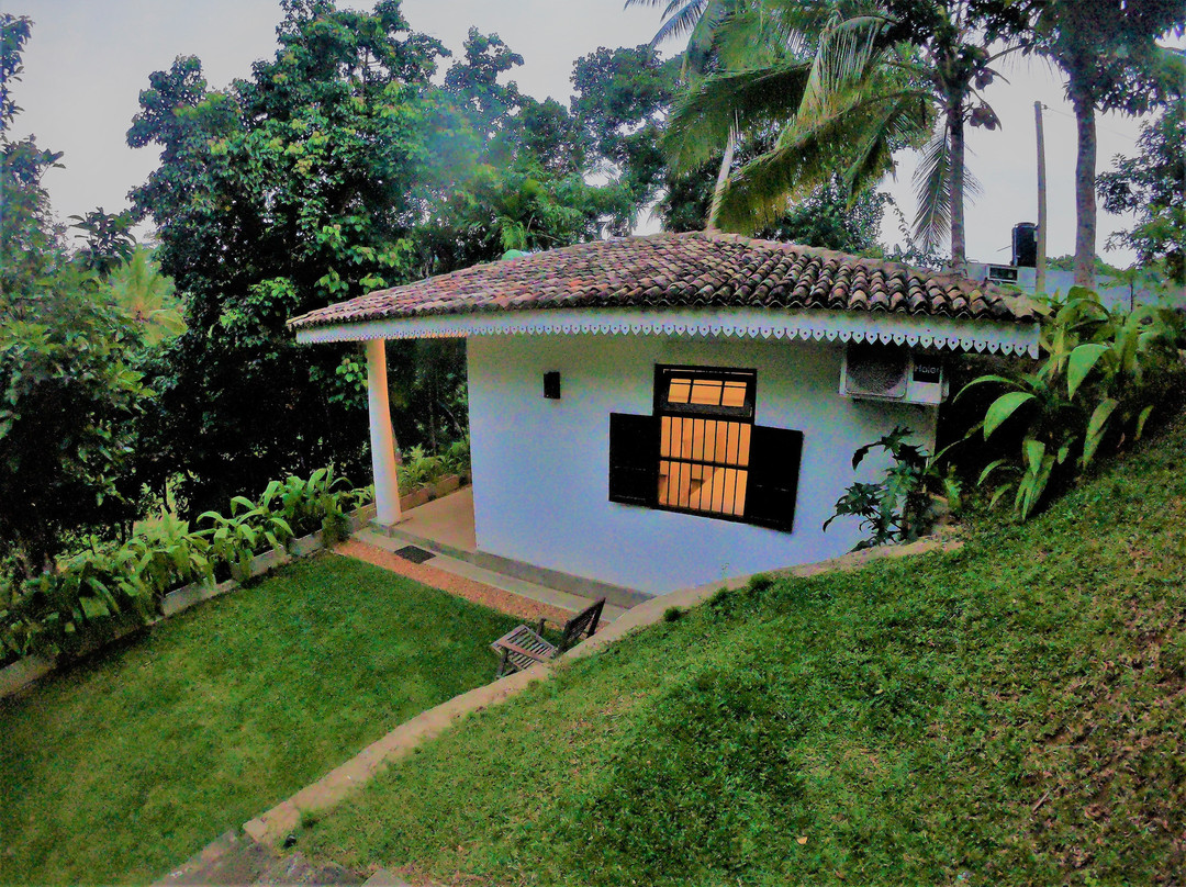 The Jungle Loft主图