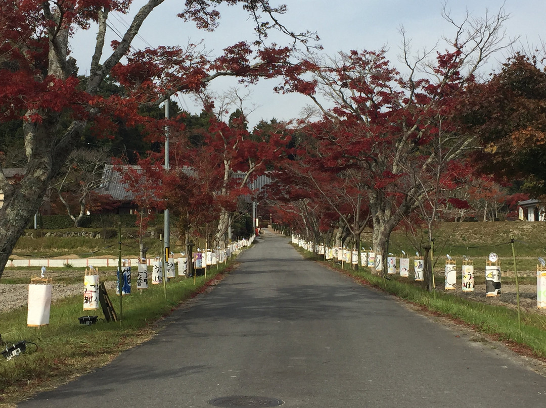 Omido Kannonji Temple-京田辺市必去景点