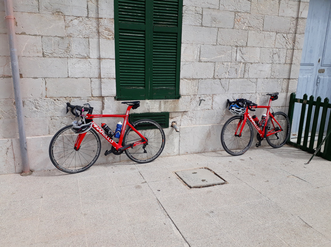Bike Experience Mallorca景点图片