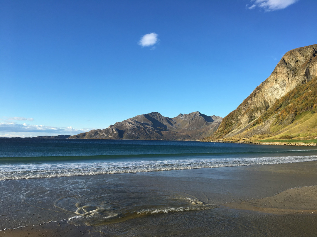 Grotfjord景点图片