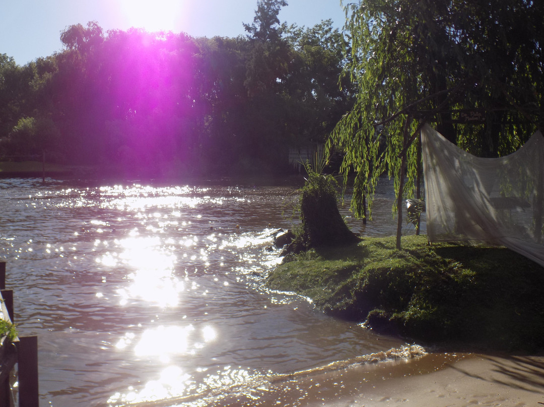 El Portal de las Musas主图