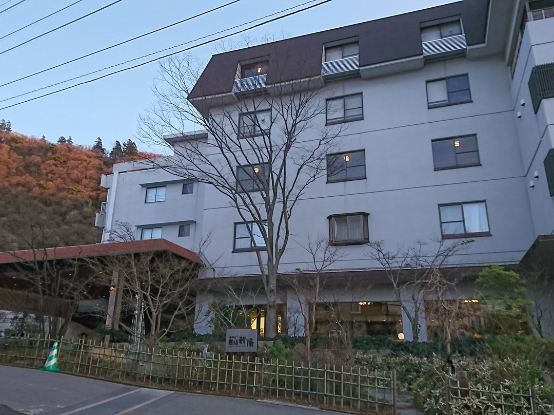 Unzen Shinyu Hotel主图