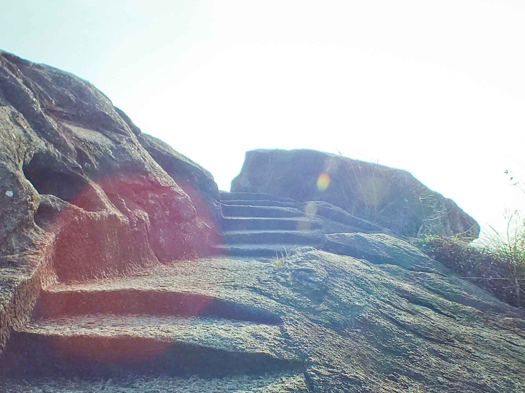 Maligatenna Rajamaha Viharaya景点图片