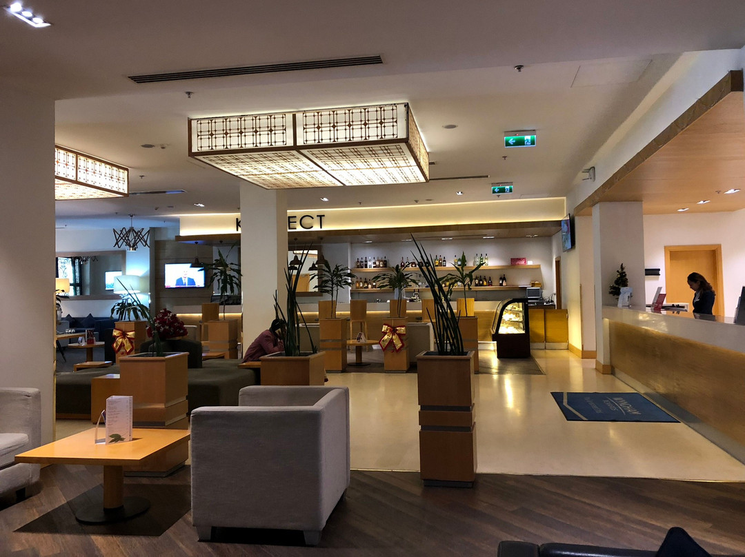 Ramada by Wyndham Addis Ababa主图