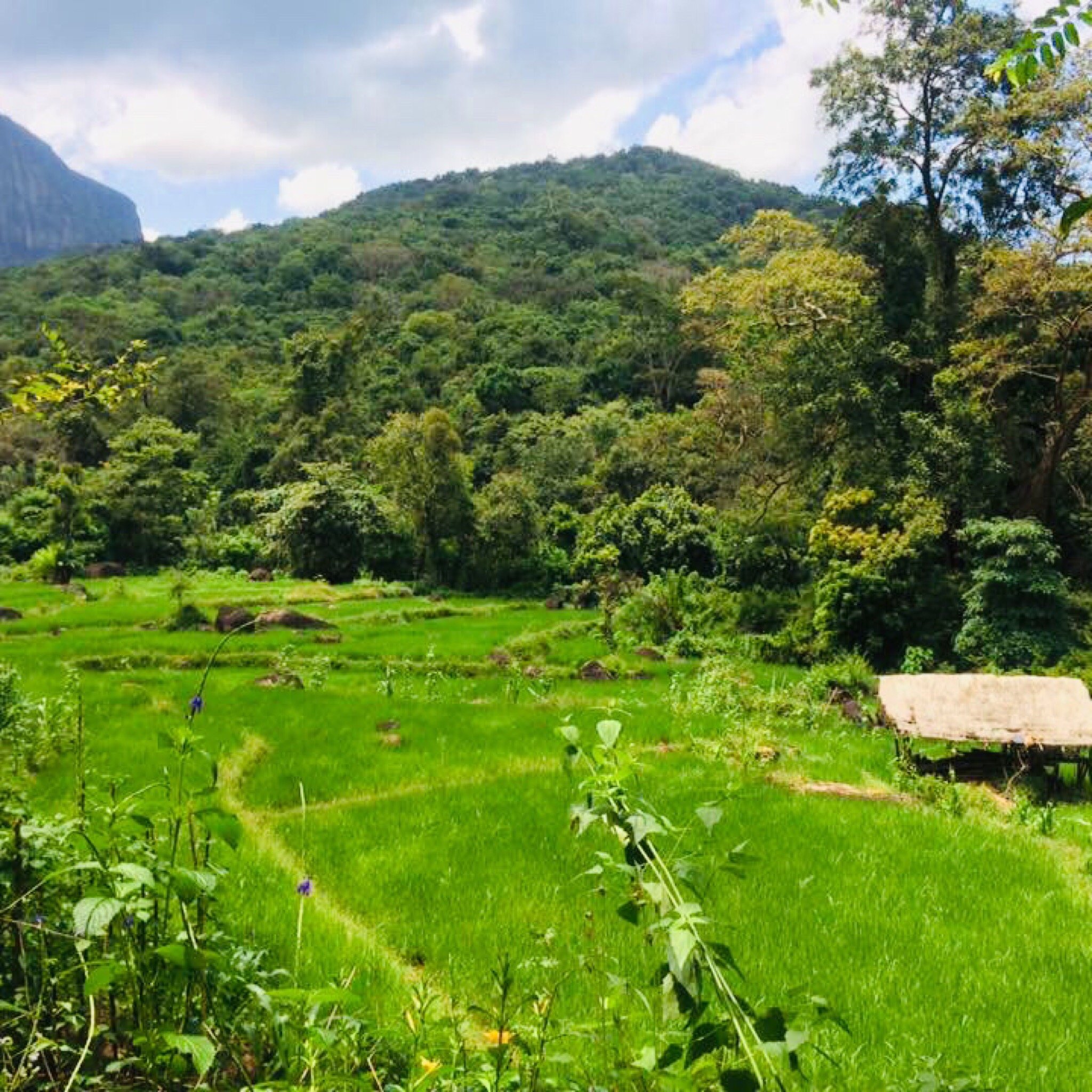 Meemure Isabulana Resort-官方