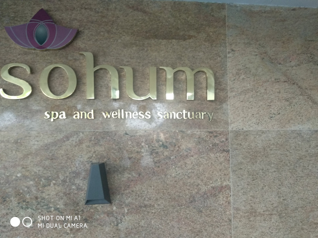 Sohum Spa Crowne Plaza Kochi景点图片