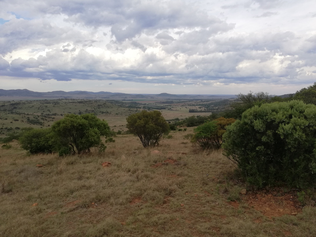 Badgerleur Bush Lodge主图