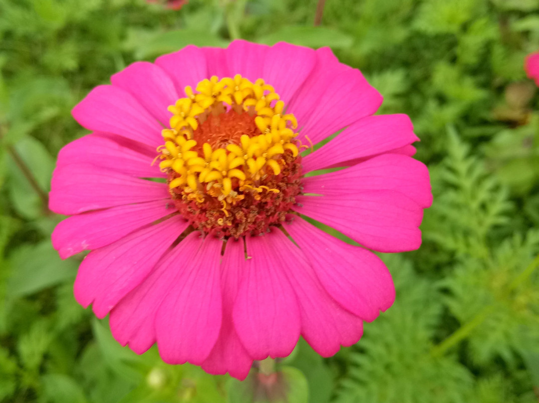 Tien Giang Eco Tourist-美拖市必去景点