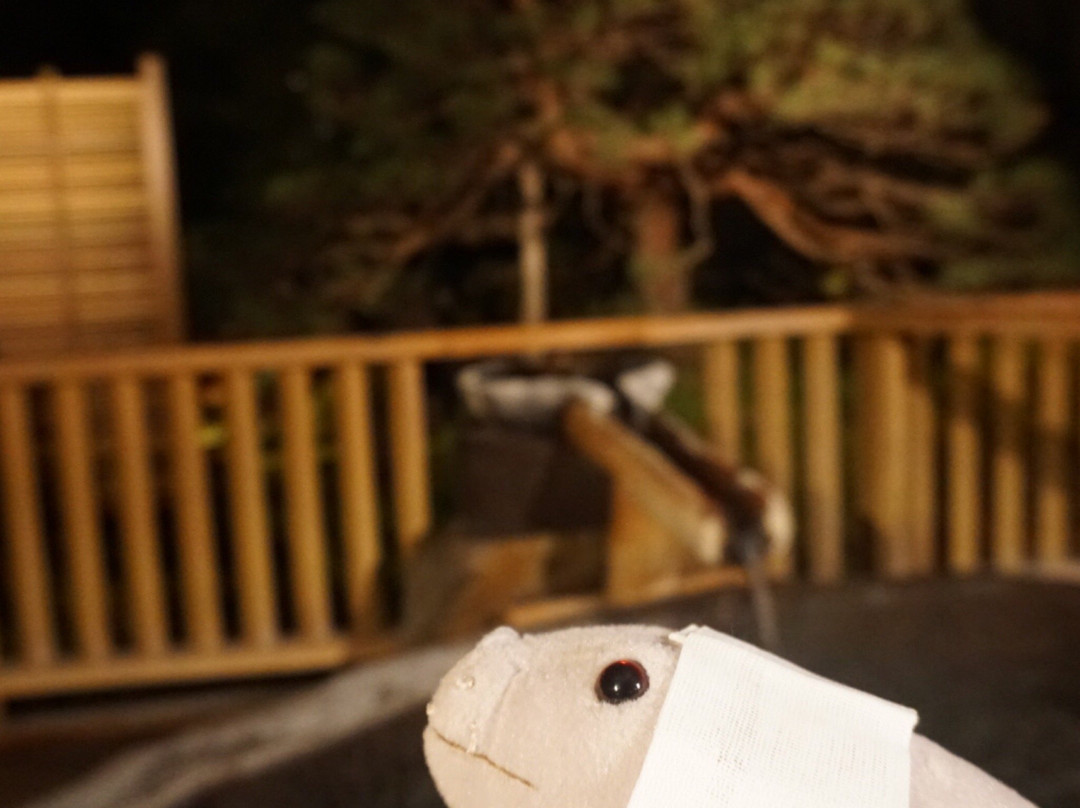 Matsunoyu主图
