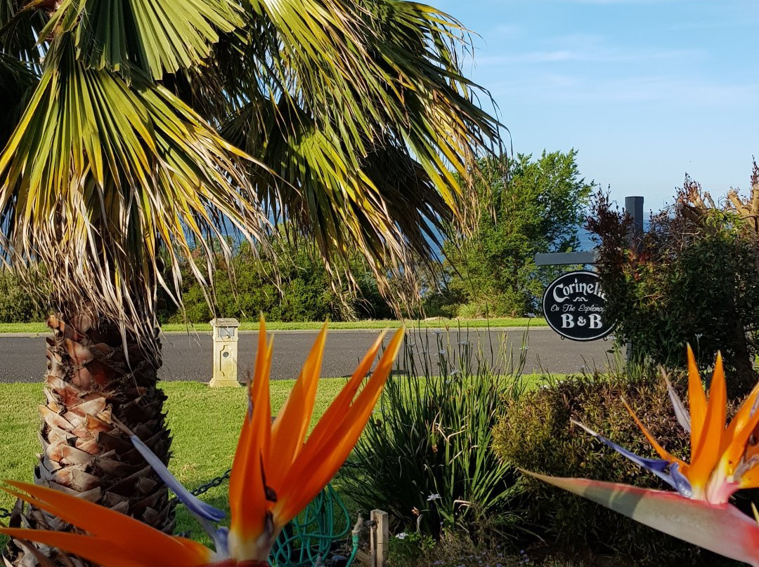 Corinella 'On The Esplanade' Bed & Breakfast主图