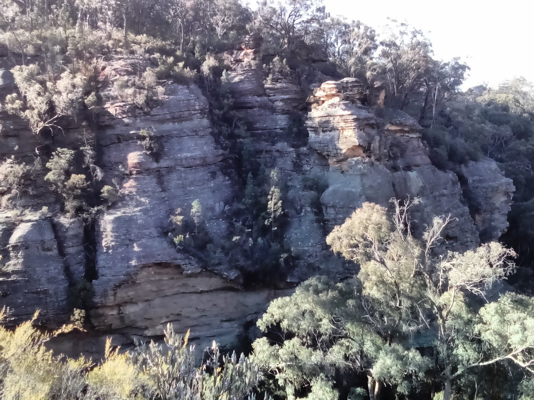 Ferntree Gully-Rylstone必去景点