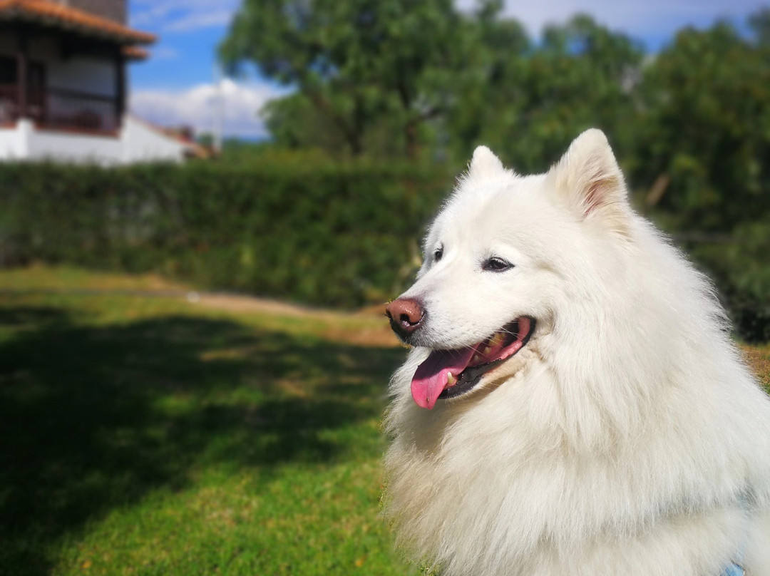 Voyaca Alojamiento y Alfarería主图