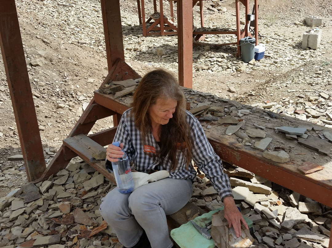 Stonerose Interpretive Center and Eocene Fossil Site景点图片