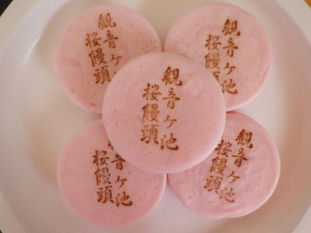 Kannongaike Pond Shiminnomori-市来串木野市必去景点