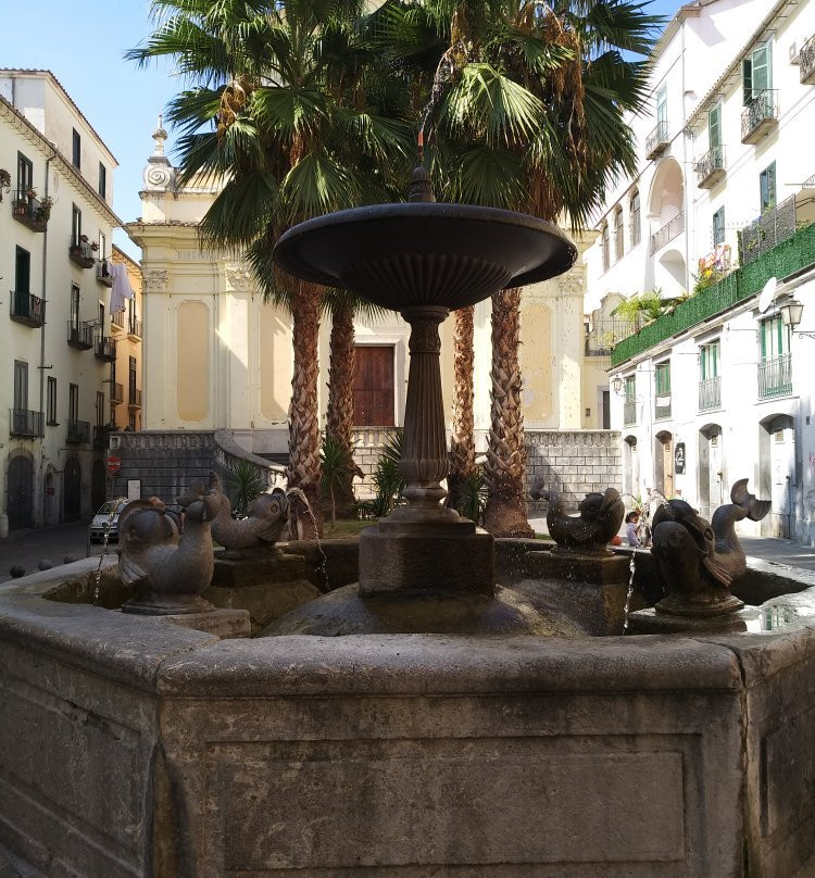 Fontana dei delfini景点图片