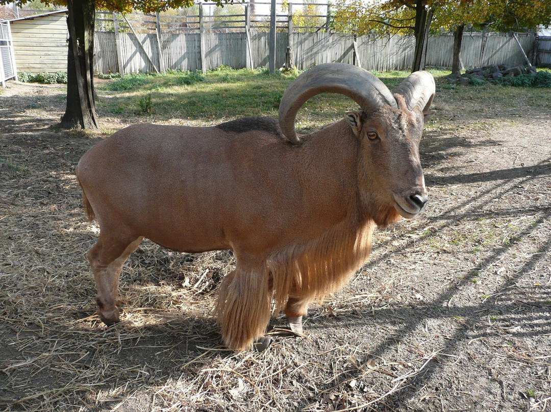 Vinnytsya Zoo-Vinnytsia必去景点