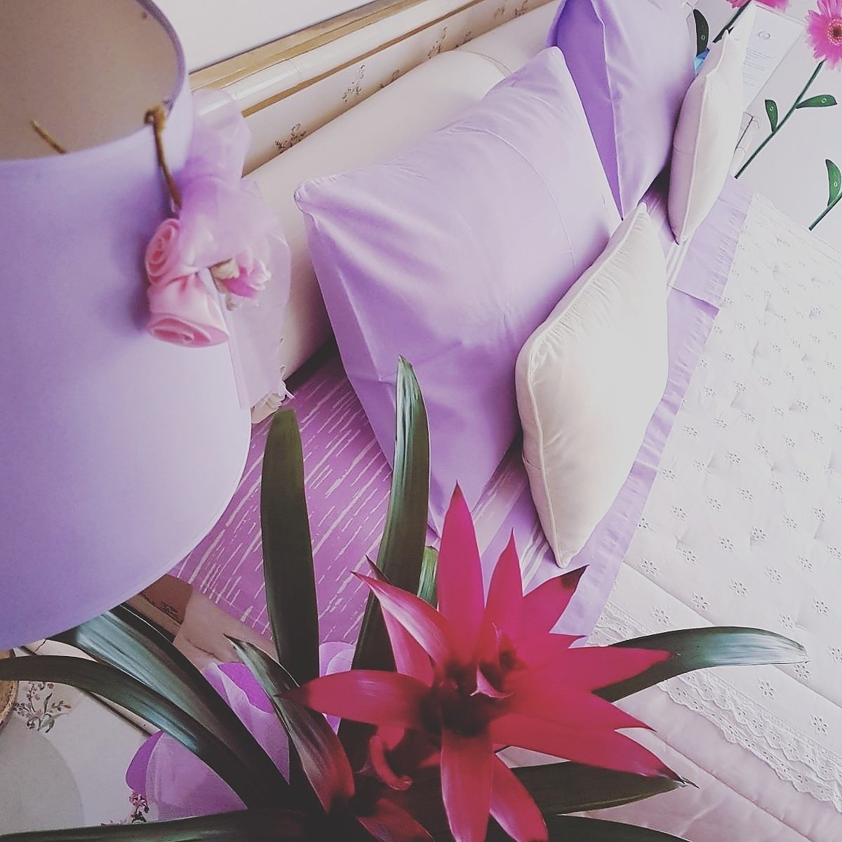 Bed and Breakfast La Delice-官方