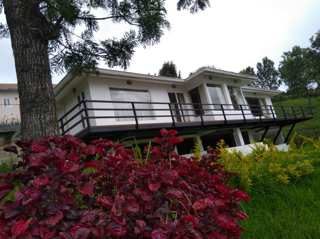 The Xanadu Birdsong主图